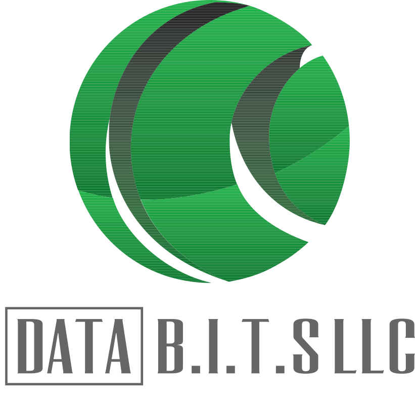 Data B.I.T.S., LLC